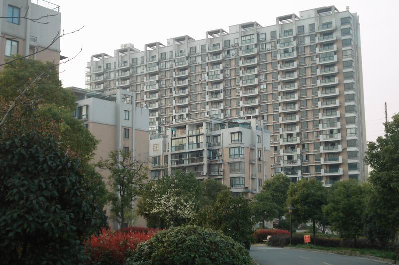 临浦江景园，精装3房2厅出租2300一月，家电、家具设施齐，有电梯，可以拎包入住