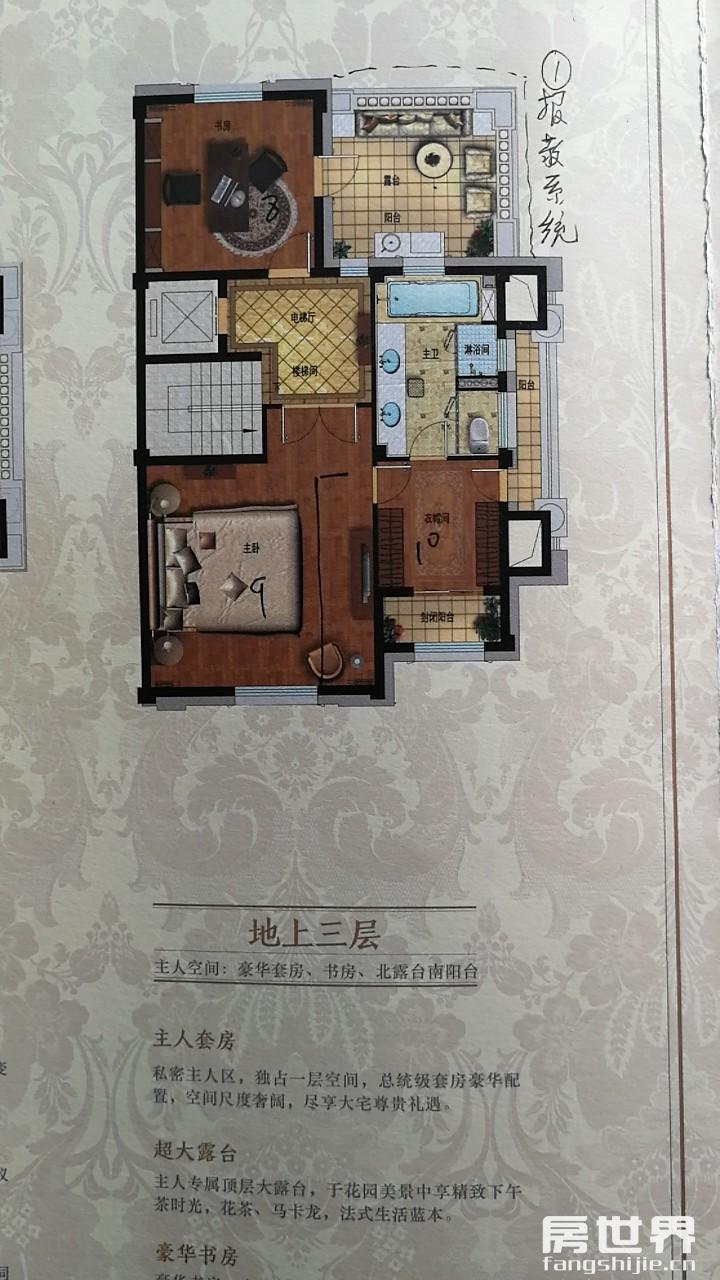 大江东 星悦湾300方排屋出售 - 兴耀星悦湾 二手房